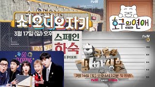신규예능 리뷰 2019 3월 호구의 연애 호구들의 감빵생활 스페인 하숙 오디오자키 쇼핑의참견