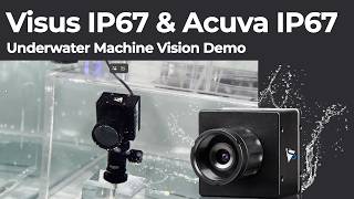 Underwater Machine Vision Demo with IP67 GigE and GMSL2 Industrial Cameras