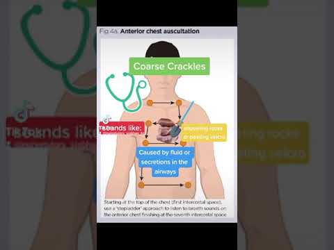 Chest Auscultation- Identifying common Breath/Lung Sounds