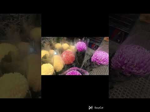 mama marry's altar #youtube #ofw #violylopez