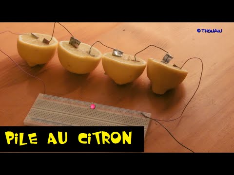 EXPERIENCE - PILE AUX CITRONS - ECLAIRER UNE LED avec des citrons