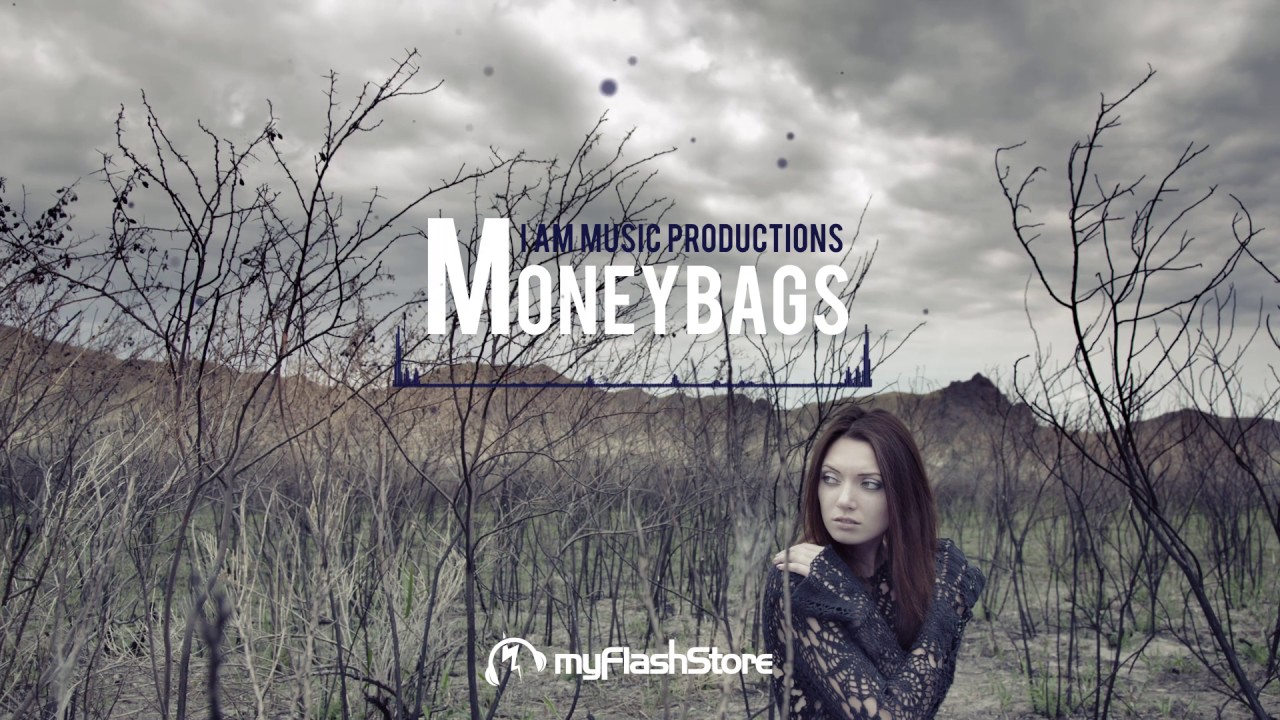 Hip Hop beat prod. by I Am Music Productions - MoneyBags @ the myFlashStore Marketplace