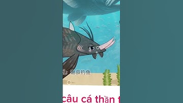 Câu cá lớn hoang dã P5 | Wild Big Fish Fishing P5 #cauca #fish #discovery #giant #funny