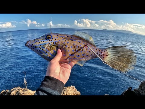 LIVE BAIT for a MONSTER THAT MAKES ANYONE TREMBLE!!