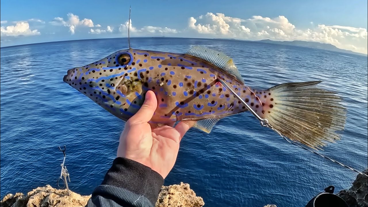 ISCA VIVA para UM MONSTRO QUE FAZ QUALQUER UM TREMER!! 