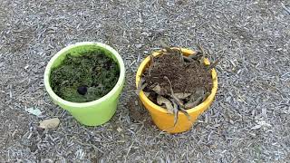 How to start a compost pile