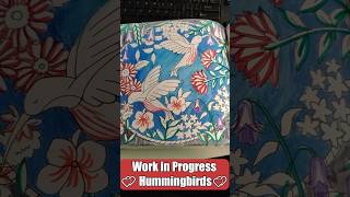Coloring Hummingbirds #shorts