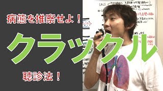 クラックルcrackleと病態の関係：胸部の聴診②副雑音(Part.2)