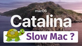 Slow Mac Fix on macOS Catalina