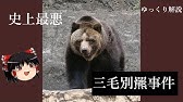 実話 妊婦を頭から喰らう 日本最大の熊事件 三毛別羆事件 とは 漫画 Youtube 実話 妊婦を頭から喰らう 日本最大の熊事件 三毛別羆事件 とは 漫画 Youtube
