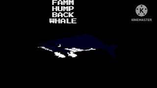 humpback whale kids picture show