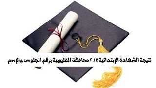 الان نتيجة الشهادة الإبتدائية 2014 محافظة القليوبية برقم الجلوس والإسم