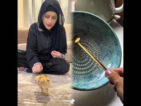 البنت والصوص ام سيف جيفارا العلي نانو