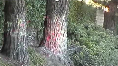 Azodin Blitz Paintball Gun Review & gun shooting