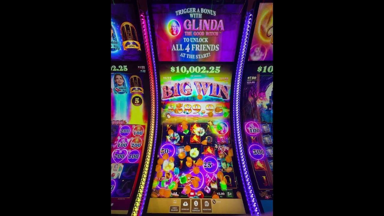 789live game bài nỗ hũ Chia sẻ Big Win on NEW Wizard of Oz at Tampa Hard Rock! hardrock tampabay casino lucky slot vegas