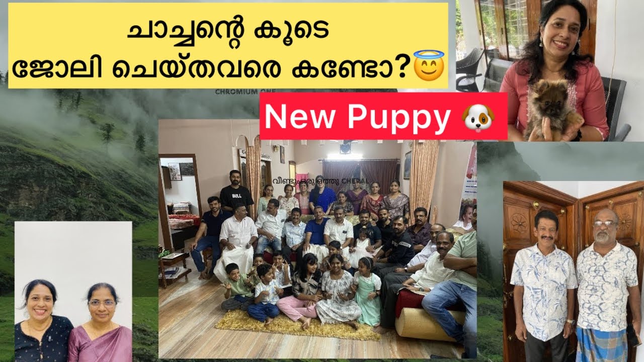 44- വർഷങ്ങൾക് ശേഷം എന്റെ കൂട്ടുകാരിയെ കണ്ടു❤️🥰 #aussieammamalayali #familyvlog #familytime #friends 