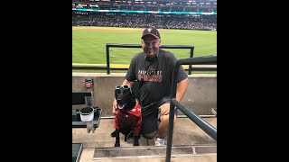 Bark in the Park 2018