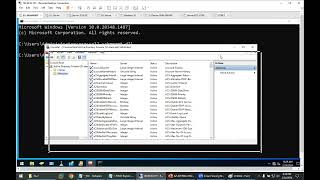Details 7-FSMO Roles Locations GUI + CLI + PS Guide