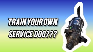 Lifechanging secrets: Train your own service dog