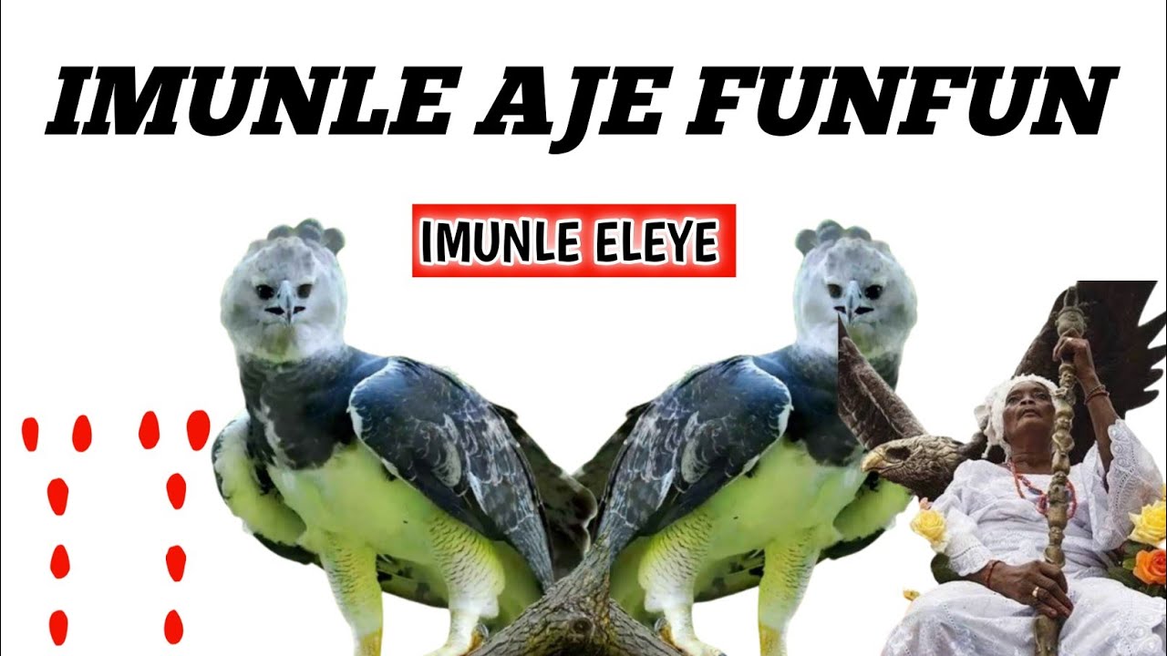 IMUNLE AJE FUNFUN @Dromoodoagbatv