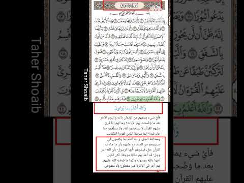 ما معنى و تفسير و ٱلل ه أ ع ل م ب م ا ي وع ون سورة الإنشقاق والله أعلم بما يكتمون في صدورهم