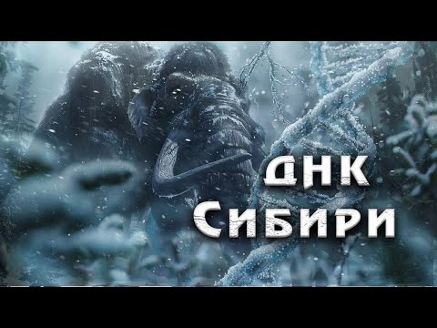 Откуда в Сибири Столько Останков из Ледникового Периода?