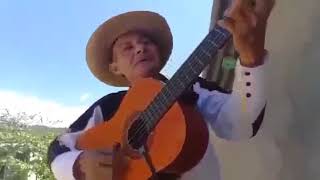 el caiman parodia xd