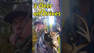 Bow Deer Drives!  #hunting #bowhunting