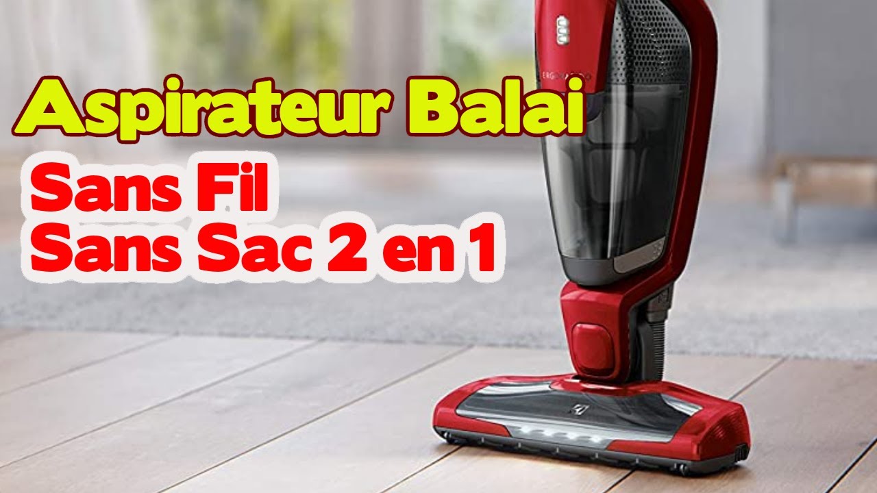 Aspirateur sans fil 2 en 1