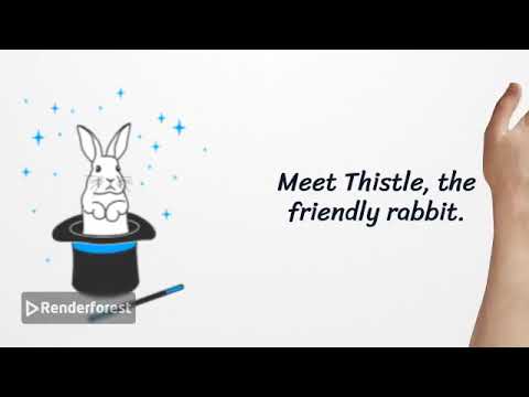 The Enchanted Forest