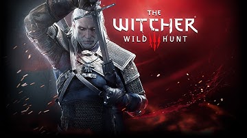 The Witcher 3: Wild Hunt - Part 38 - Count Reuven