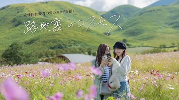 短編映画『路地裏のコスモス』予告