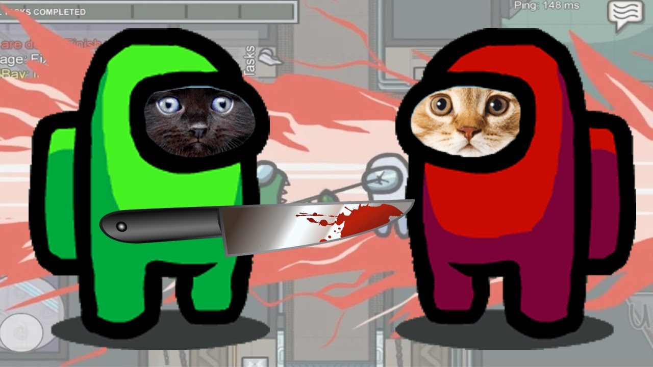 🔪 YAVRU KEDİ KATİL OLDU 🔪 Among Us Canlı Yayını YouTube