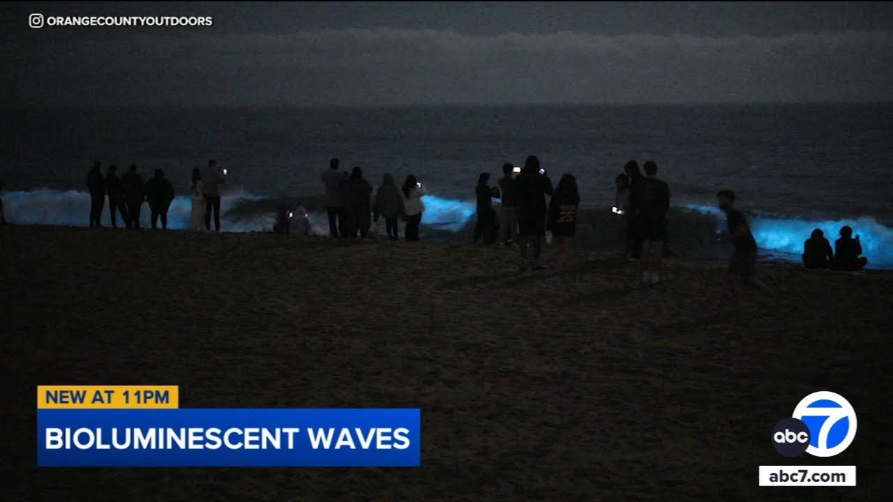 Bioluminescent waves captured in Newport Beach