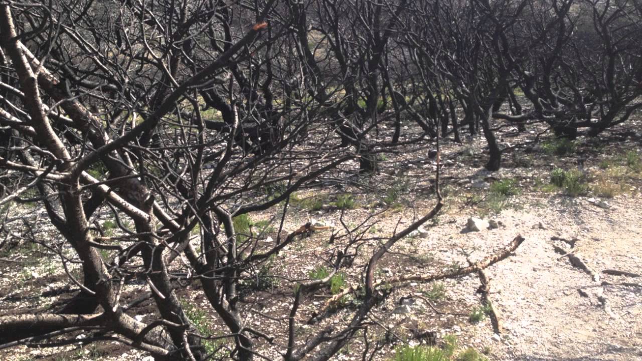 « fort et longtemps »