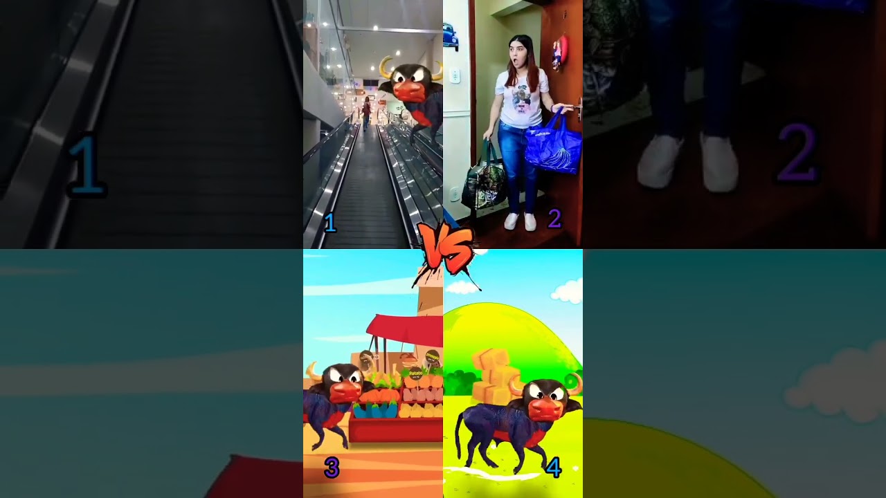 🤣who is your best ⁉️✨🎊 