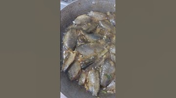 cá rô đồng kho tiêu👍@Khoadangvlog đk kênh giúp mình với cả nhà 🫶❤️..
