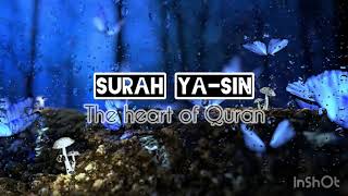 Most beautiful Surah Yasin (يس) | most beautiful Quran tilawat #trending #viral #quran #islam #like