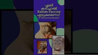 എല കടചചൽ Rabies Vaccine എടകകണ? Rat Bite