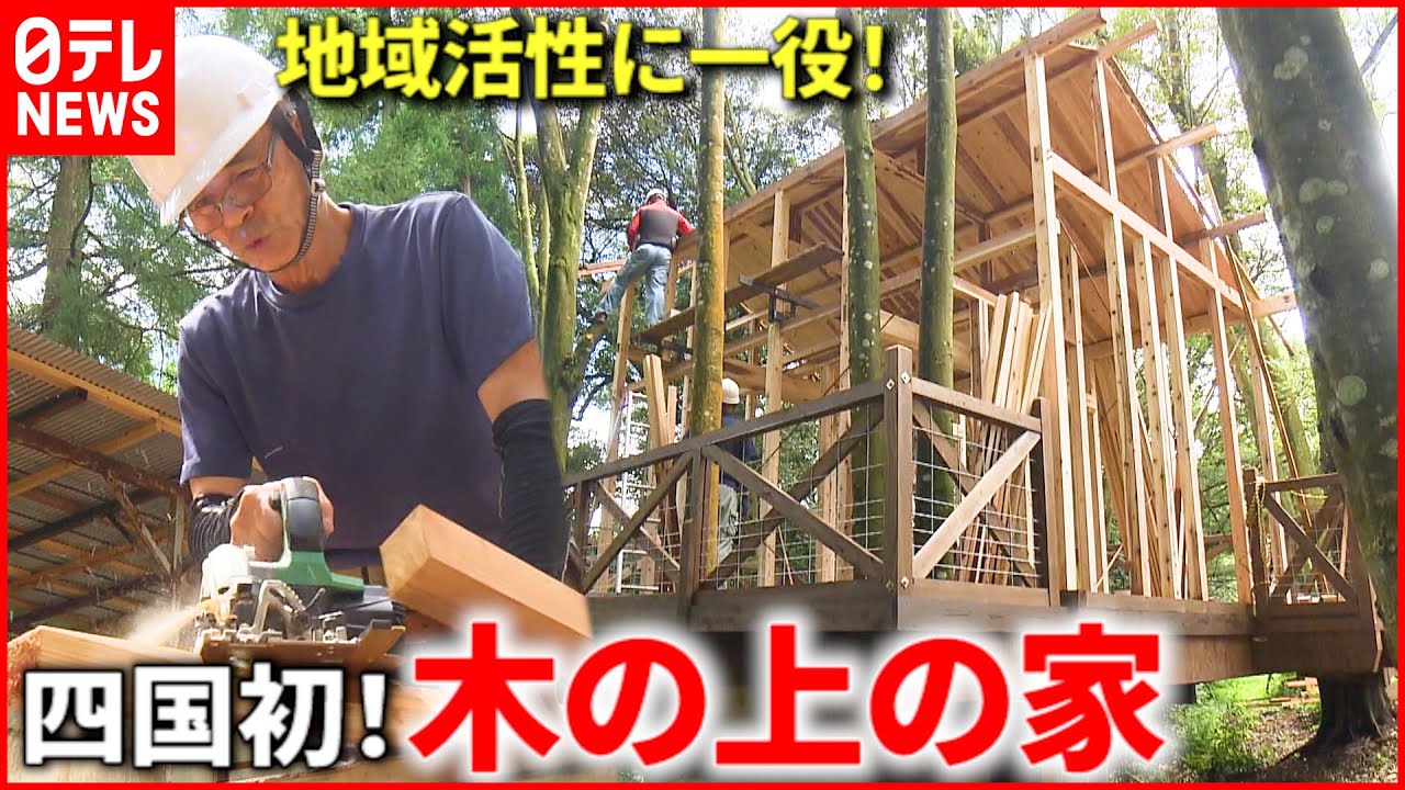 【ツリーハウス】建てるワケは？四国初の”木の上の家” で地域活性へ 　愛媛　NNNセレクション