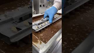 Chocolate Ice Cream Coating Process #shorts #foodfactory