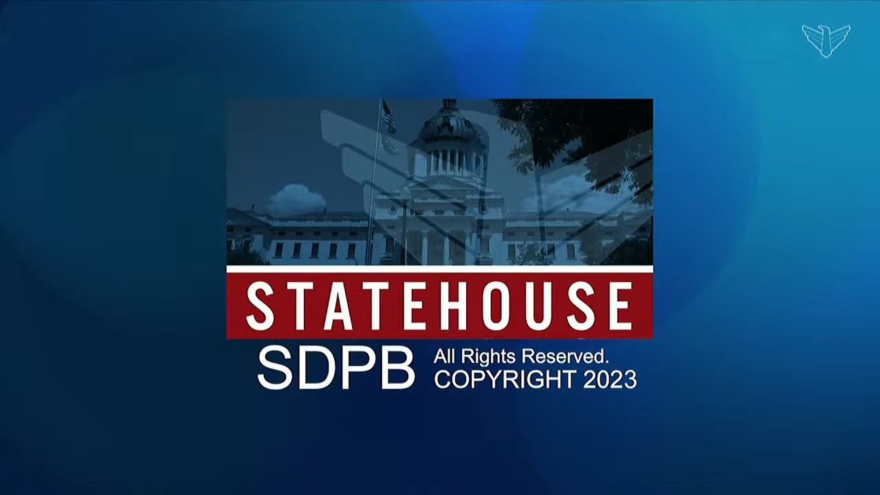 South Dakota Senate 1/25/2023 - LD 11