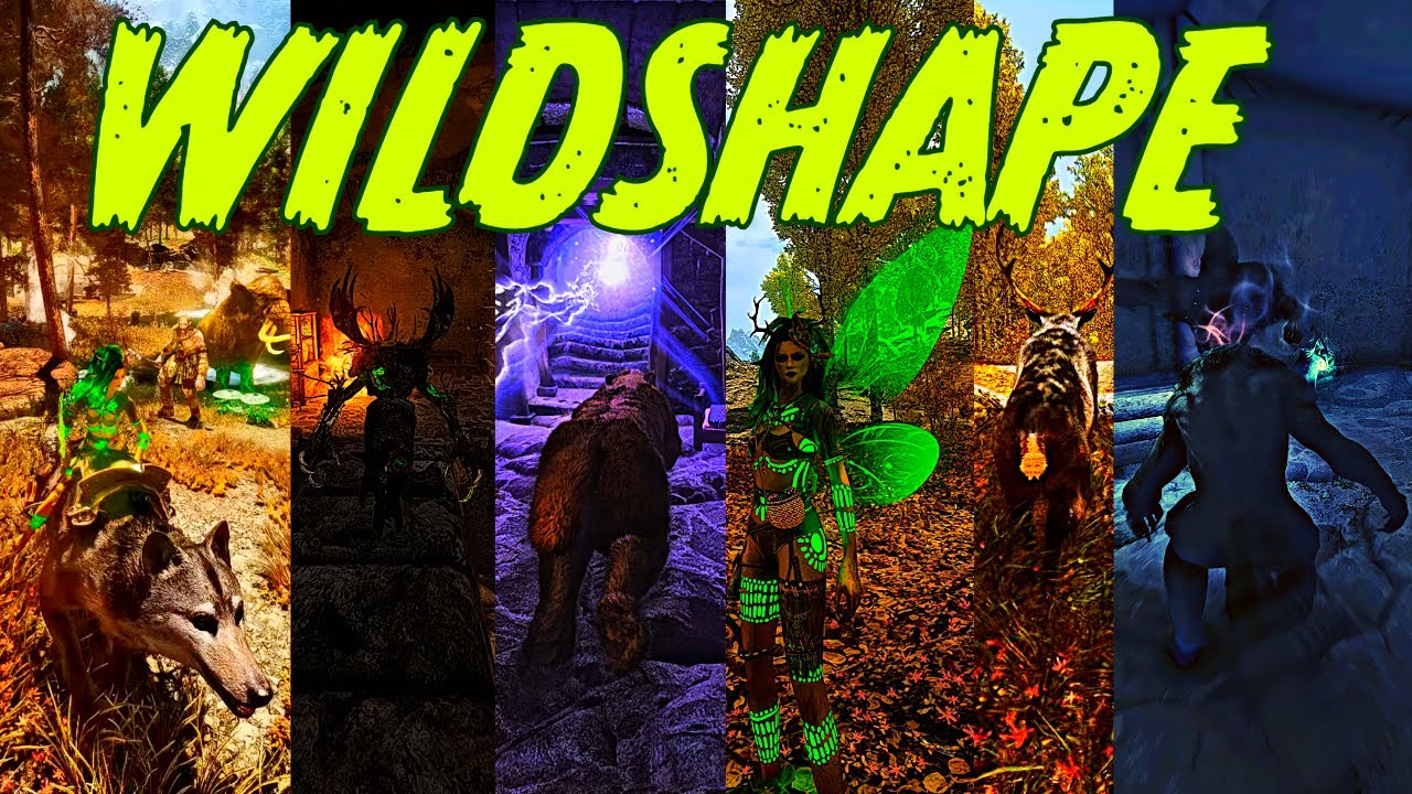 4000+ Mods Skyrim | Wild Shape Druid Build | Modified lorerim
