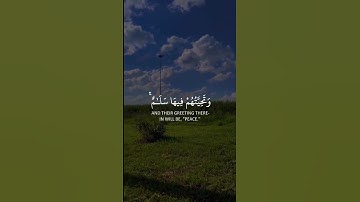 دعواهم فيها سبحانك اللهم وتحيتهم فيها سلام وآخر دعواهم أن الحمد | سورة يونس | القارئ عبدالرحمن مسعد