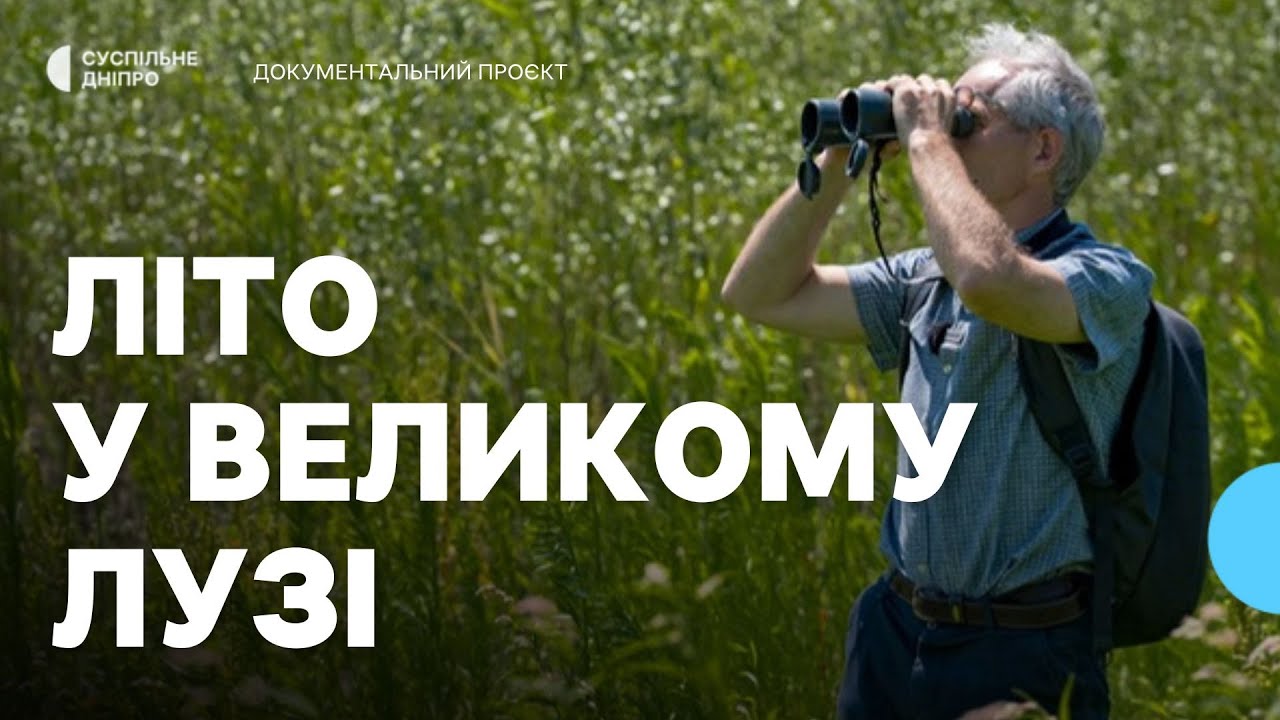 «Справжнє літо буяє у Великому Лузі» Як змінюється природа на місці Каховського водосховища