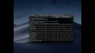 Установка прокси сервера kraken proxy на ubuntu server 18.04