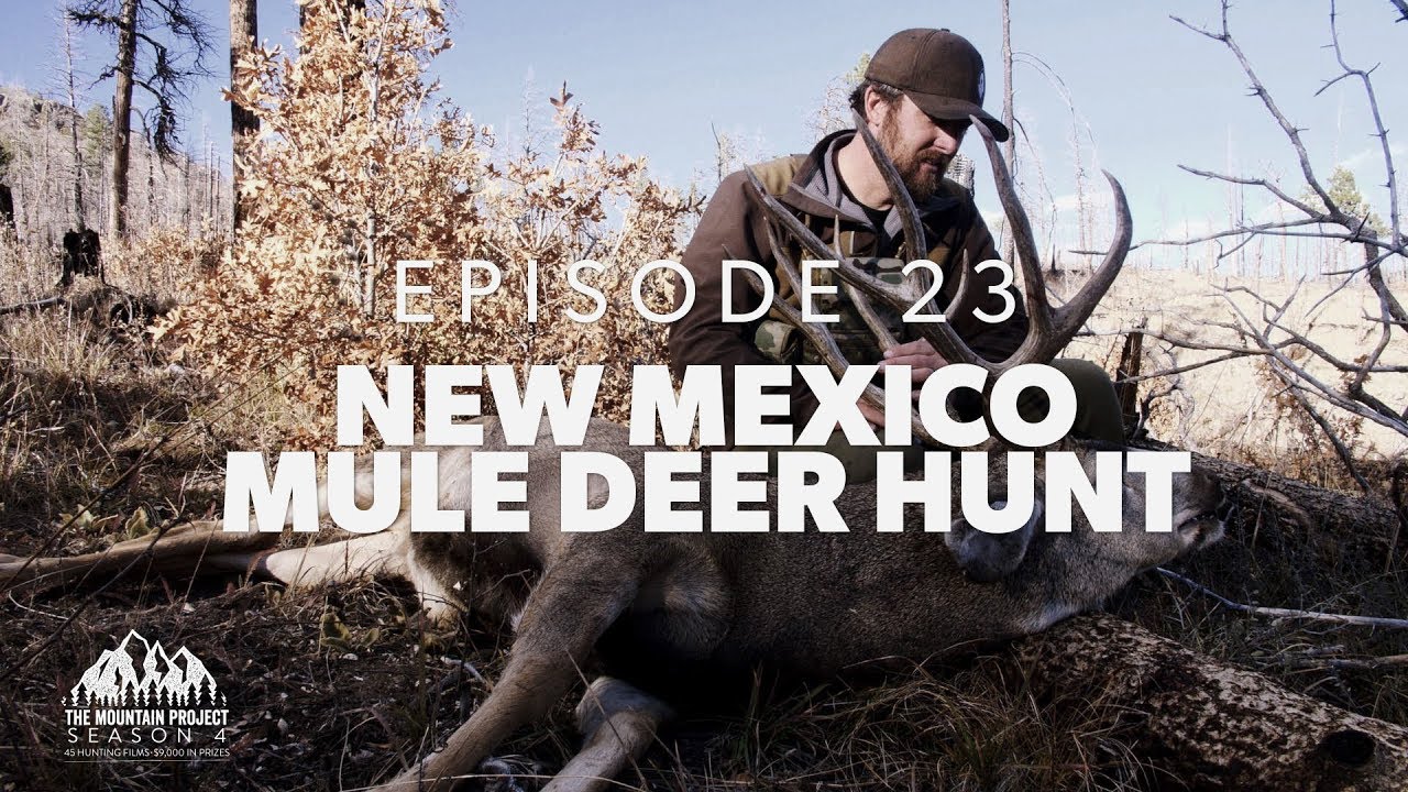Chase gets his first Muley Ep.23 New Mexico Mule Deer Hunt YouTube
