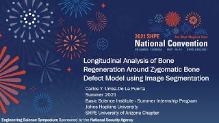 Longitudinal Analysis Around Zygomatic Bone Defect Model using Image Segmentation - SHPE ESS 2021 screenshot 5