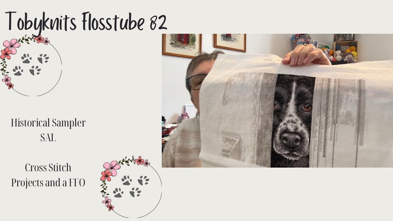 Tobyknits Flosstube episode 82 - More snow equals More Stitching