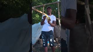 Have Fun Doing What You Love